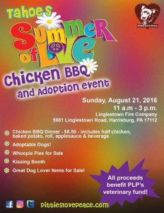 Tahoe's Summer of Love Chicken BBQ Fundraiser