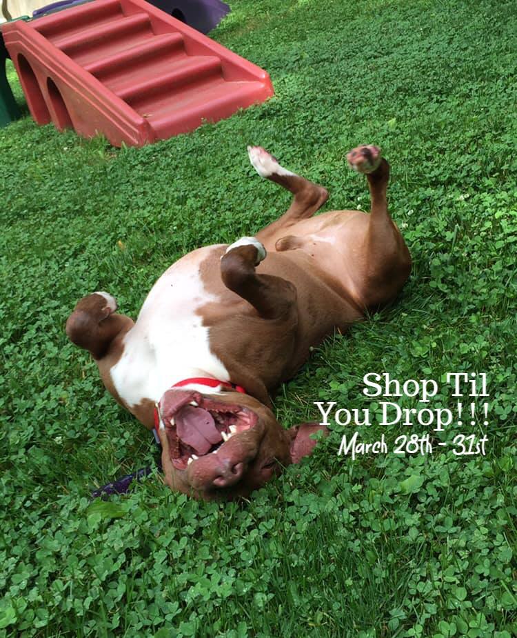 pitbull fundraiser auction